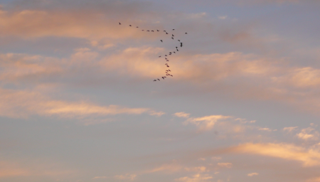 Screen Shot 2013-12-07 at 7.37.50 AM