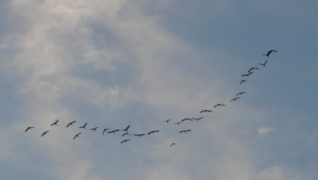 Screen Shot 2013-12-07 at 7.42.36 AM