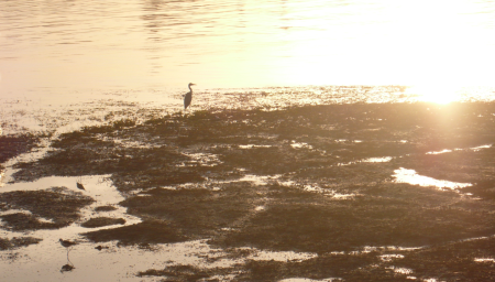 Screen Shot 2013-12-07 at 7.46.46 AM