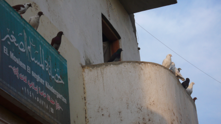 Screen Shot 2013-12-07 at 7.49.34 AM