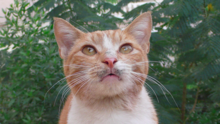 Screen Shot 2013-12-07 at 7.51.47 AM