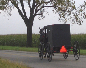 old-order-mennonite-buggy-pa
