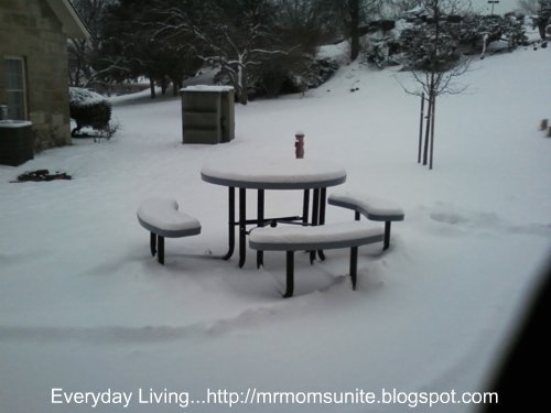 photo of snow covered table at VA Medical Center