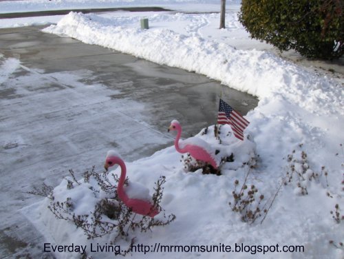 photo of shoveled driveway
