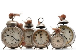 snails on alarm clocks - group portrait