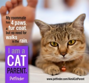 I_am_a_cat_parent