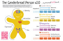 genderbread