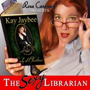Sexy_Librarian_Cover_600x600