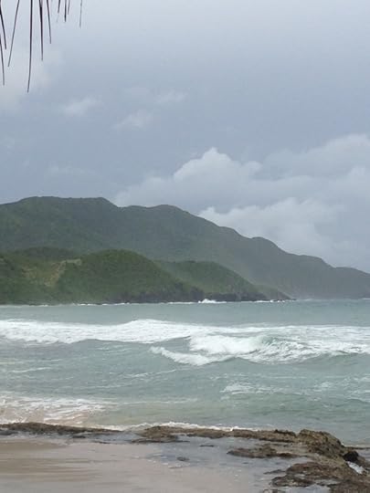 2013-12-08 11.06.47.jpg