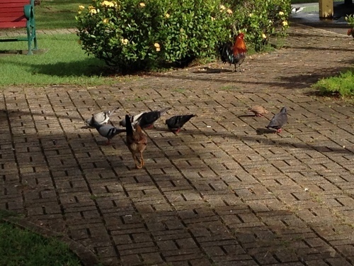 2013-12-08 14.52.15.jpg