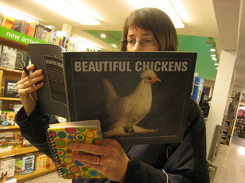 "Beautiful Chickens" by Bart King