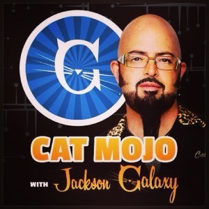 Jackson_Galaxy_Cat_Mojo