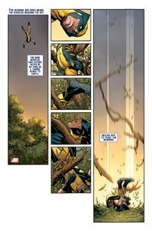 FRANK CHO Savage Wolverine Shanna