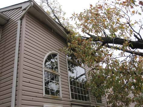 Hurricane Sandy at FRANK CHO