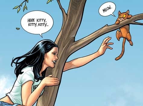 FRANK CHO Liberty Meadows Brandy