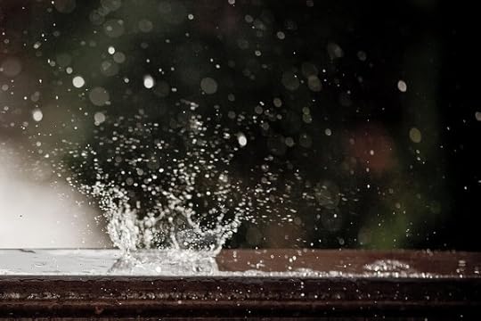 dish_rain2