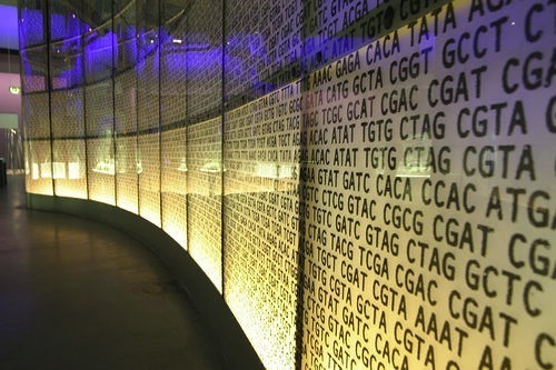 DNA.jpg