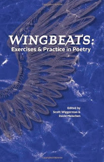 http://www.amazon.com/Wingbeats-Exercises-Practice-Scott-Wiggerman/dp/0976005190/ref=pd_sim_b_4