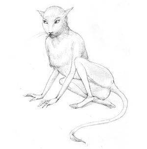 Beauty as the Beast by Virginia Lee