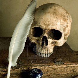 skullandbook