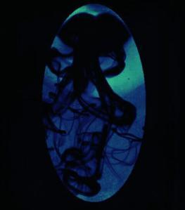 Bear witness to the breath of Goddess. From that black gate come many an ill and spite, and come like a sweet breath of flowers.~The Harlot Goddess http://www.damnationbooks.com/