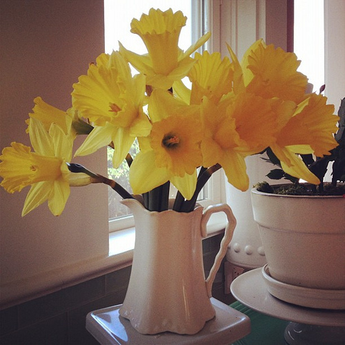 After what has felt like an eternity the sun and spring flowers have arrived in rainy Portland. Happy spring!