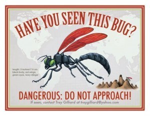 Invasive Species Card-page-001