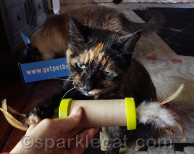 And yes, she did break into the toy to get the treats