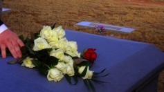 Roses-on-coffin-by-blmurch-at-flickr-CCBY