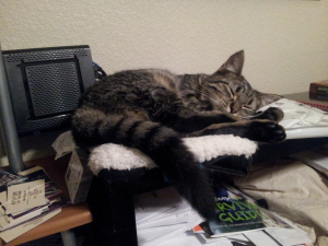 Pepper Dec. 10, 2013