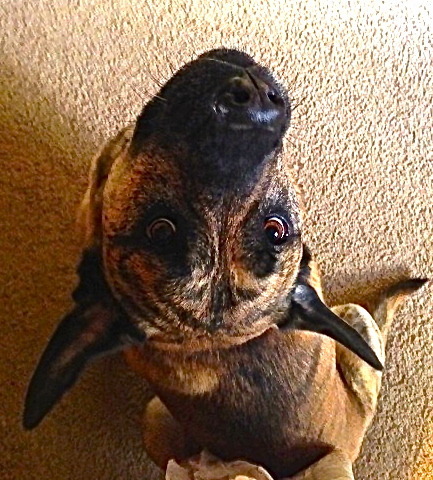 Image 2