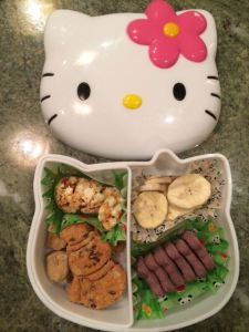 Doggy bento box for their day at doggy daycare.