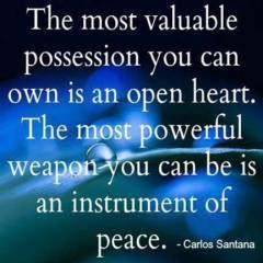 click to like Hippie Peace Freaks