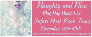 Naughty and Nice Blog Hop