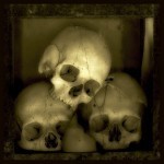 Skulls 8 - photo by Augusto De Luca