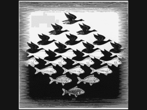 birds_fish