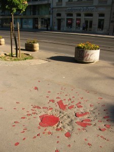 Sarajevo Rose