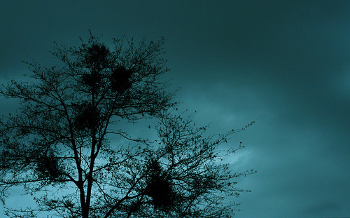 Grey skies to blue by Opaline Fracture Designs via Flickr