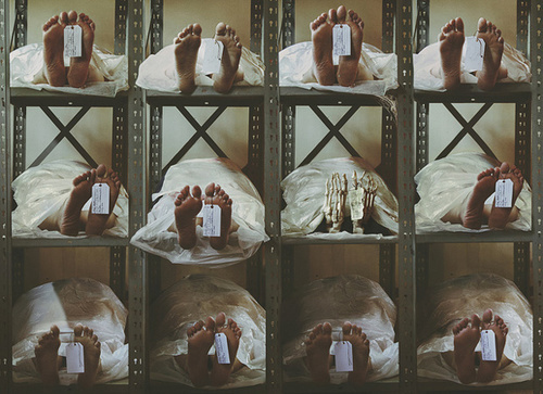 Photo by Amy Andress