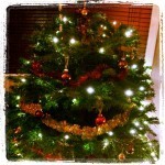 Christmas tree 2013