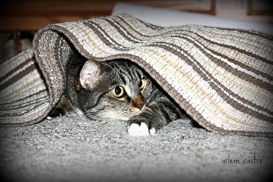 Lady Tornado goes undercover...