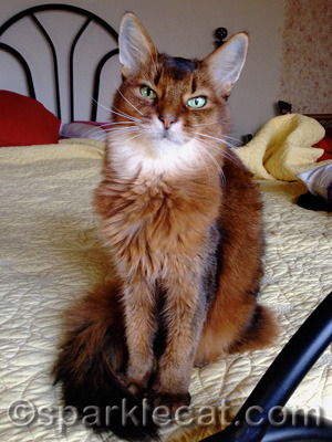 Yes, I will pose nicely because there is money involved... for a good cause!