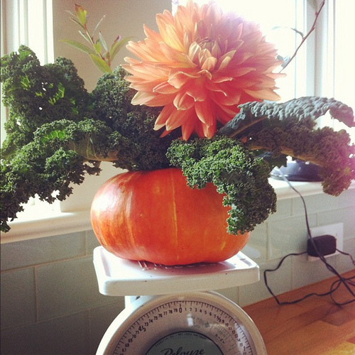 My mom has been busy creating pumpkin arrangements with flowers and kale from the garden #sosmart #greatidea