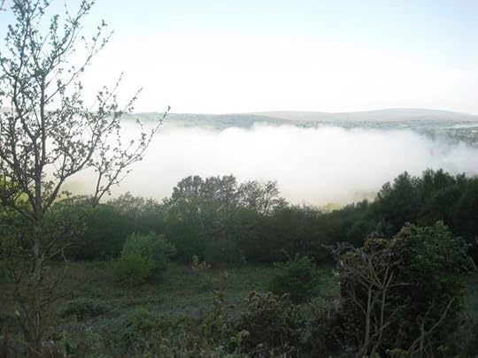 Mist2