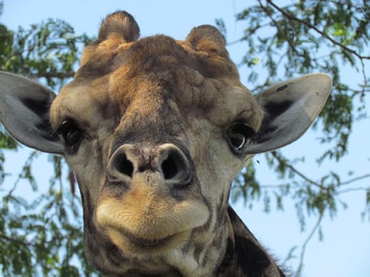 Gotta love that face!