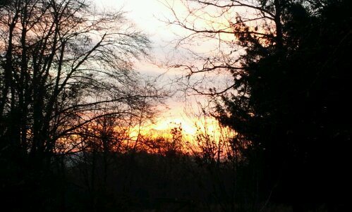 wpid-20131211_160338.jpg