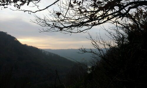 wpid-20131211_153301.jpg