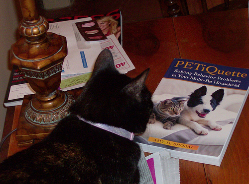 Blackie Reading Petiquette