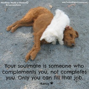 soulmateIMG 6616 290x290 Woofisms: Woofs of Wisdom© funny dog blog