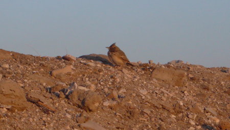 Screen Shot 2013-12-11 at 7.03.15 PM